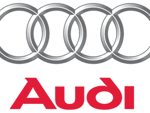Audi Fuel Injector