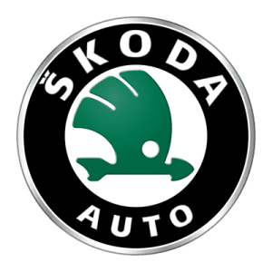 Skoda Fuel Injector